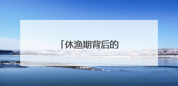 休渔期背后的电力守护者