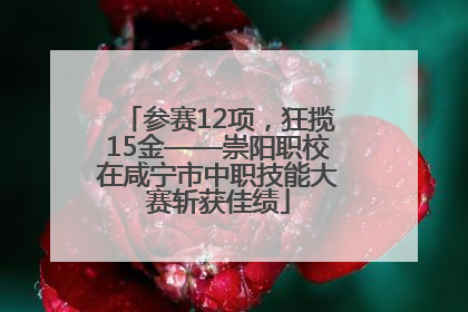 参赛12项，狂揽15金——崇阳职校在咸宁市中职技能大赛斩获佳绩