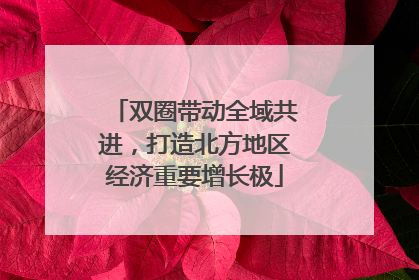 双圈带动全域共进，打造北方地区经济重要增长极