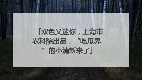 双色又迷你，上海市农科院出品，“吃瓜界”的小清新来了