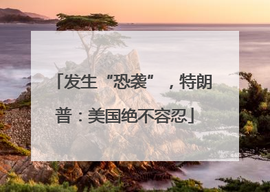 发生“恐袭”，特朗普：美国绝不容忍