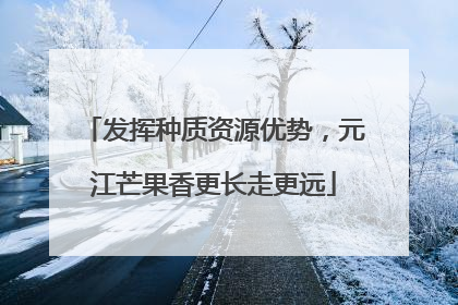 发挥种质资源优势，元江芒果香更长走更远