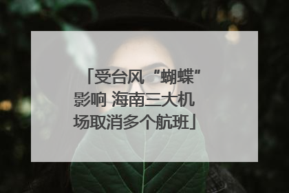 受台风“蝴蝶”影响 海南三大机场取消多个航班