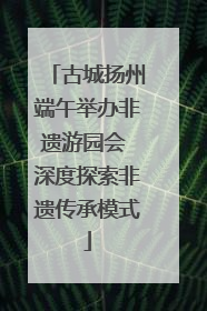 古城扬州端午举办非遗游园会 深度探索非遗传承模式