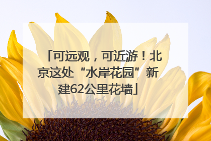 可远观，可近游！北京这处“水岸花园”新建62公里花墙