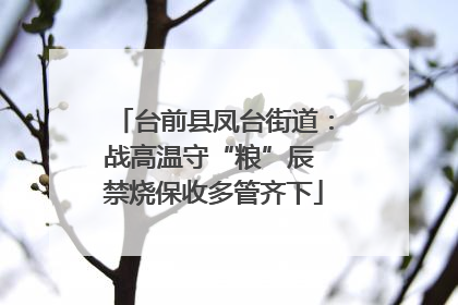 台前县凤台街道：战高温守“粮”辰 禁烧保收多管齐下