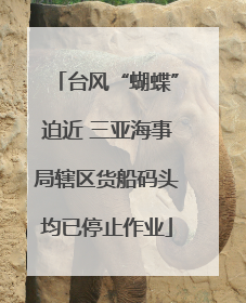 台风“蝴蝶”迫近 三亚海事局辖区货船码头均已停止作业