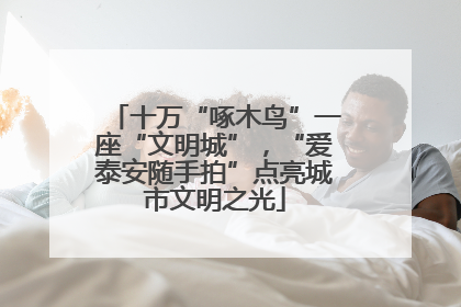 十万“啄木鸟”一座“文明城”，“爱泰安随手拍”点亮城市文明之光