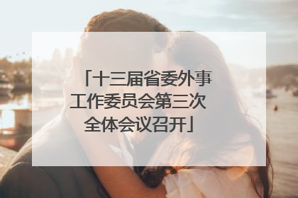 十三届省委外事工作委员会第三次全体会议召开