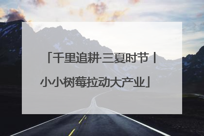 千里追耕·三夏时节丨小小树莓拉动大产业