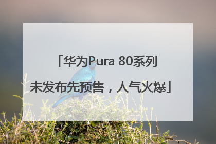 华为Pura 80系列未发布先预售，人气火爆