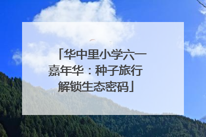 华中里小学六一嘉年华：种子旅行解锁生态密码