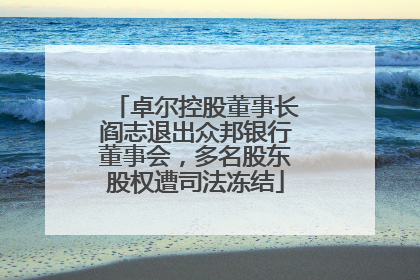 卓尔控股董事长阎志退出众邦银行董事会，多名股东股权遭司法冻结