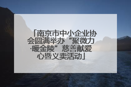 南京市中小企业协会圆满举办“聚微力·暖金陵”慈善献爱心暨义卖活动