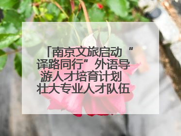 南京文旅启动“译路同行”外语导游人才培育计划 壮大专业人才队伍助力重要国际旅游目的地建设