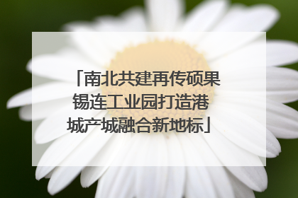 南北共建再传硕果 锡连工业园打造港城产城融合新地标
