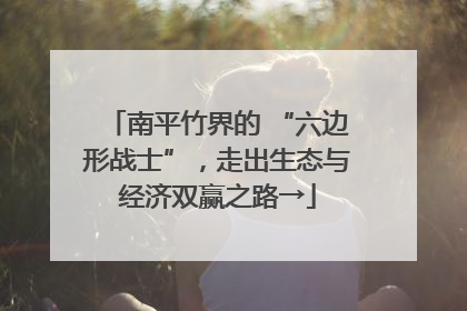 南平竹界的 “六边形战士”，走出生态与经济双赢之路→