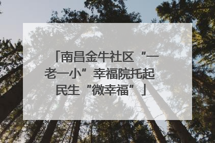 南昌金牛社区“一老一小”幸福院托起民生“微幸福”