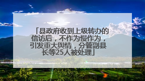 县政府收到上级转办的信访后，不作为慢作为，引发重大舆情，分管副县长等25人被处理