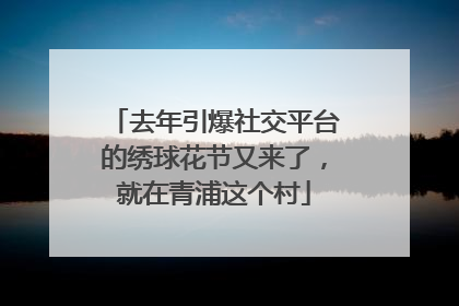 去年引爆社交平台的绣球花节又来了，就在青浦这个村