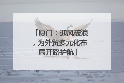 厦门：迎风破浪，为外贸多元化布局开路护航