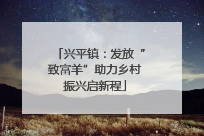 兴平镇：发放“致富羊”助力乡村振兴启新程