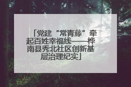 党建“常青藤”牵起百姓幸福线——桦南县秀北社区创新基层治理纪实