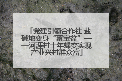 党建引领合作社 盐碱地变身“聚宝盆”——河涯村十年蝶变实现产业兴村群众富