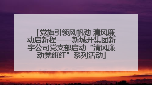 党旗引领风帆劲 清风廉动启新程——新城开集团新宇公司党支部启动“清风廉动党旗红”系列活动