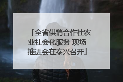 全省供销合作社农业社会化服务 现场推进会在泰兴召开
