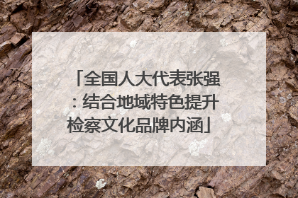 全国人大代表张强：结合地域特色提升检察文化品牌内涵