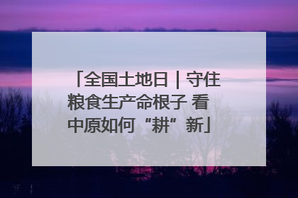 全国土地日｜守住粮食生产命根子 看中原如何“耕”新