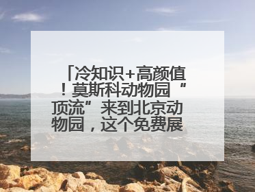 冷知识+高颜值！莫斯科动物园“顶流”来到北京动物园，这个免费展览，遛娃拍照两不误！