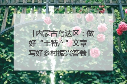 内蒙古乌达区：做好“土特产”文章 写好乡村振兴答卷