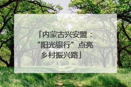 内蒙古兴安盟：“阳光银行”点亮乡村振兴路