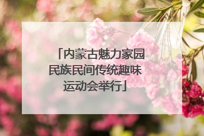 内蒙古魅力家园民族民间传统趣味运动会举行