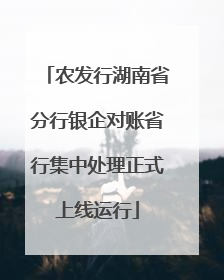 农发行湖南省分行银企对账省行集中处理正式上线运行
