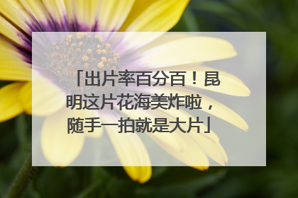 出片率百分百！昆明这片花海美炸啦，随手一拍就是大片