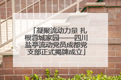 凝聚流动力量 扎根蓉城家园——四川盐亭流动党员成都党支部正式揭牌成立