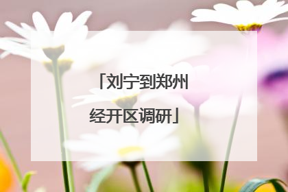 刘宁到郑州经开区调研