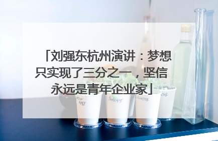 刘强东杭州演讲：梦想只实现了三分之一，坚信永远是青年企业家