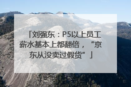 刘强东：P5以上员工薪水基本上都翻倍，“京东从没卖过假货”
