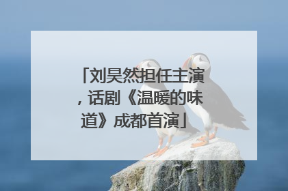 刘昊然担任主演，话剧《温暖的味道》成都首演