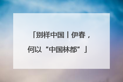 别样中国丨伊春，何以“中国林都”