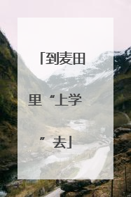 到麦田里“上学”去