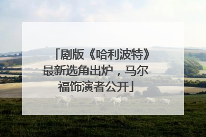 剧版《哈利波特》最新选角出炉，马尔福饰演者公开