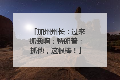 加州州长：过来抓我啊；特朗普：抓他，这很棒！