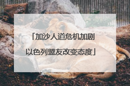加沙人道危机加剧 以色列盟友改变态度