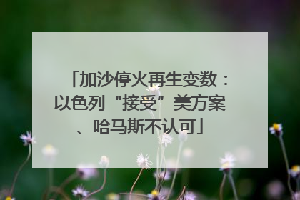 加沙停火再生变数：以色列“接受”美方案、哈马斯不认可