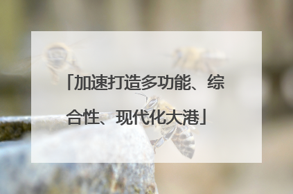加速打造多功能、综合性、现代化大港